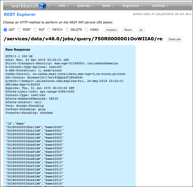 SOQL クエリの結果