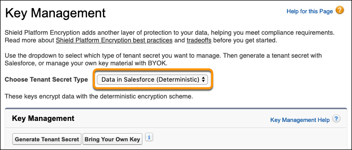 テナントの秘密種別 [Salesforce のデータ (確定的)] を選択します。