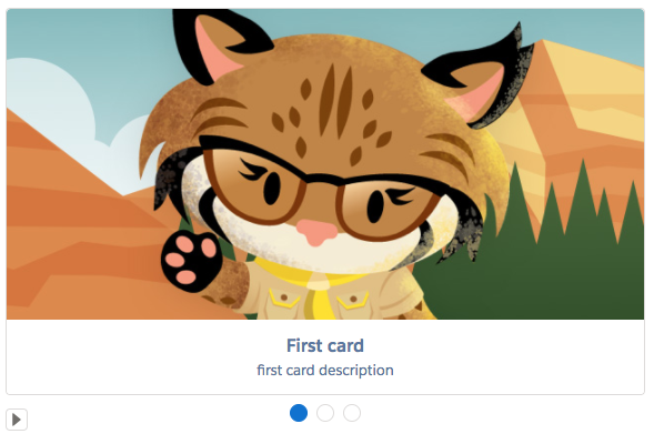 lightning:carousel は、横方向に 1 つずつ表示される画像のコレクションです。