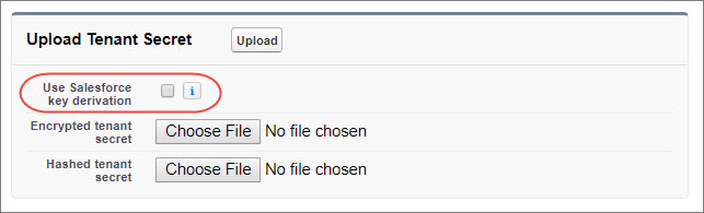 [Salesforce 鍵派生を使用] オプションのオフ