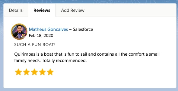 The component boatReviews being displayed. The tab label is Reviews.The same information is displayed, as read-only fields. Order of the information being displayed for each review: Reviewer avatar, Reviewer name, Review date, Review Subject, Review Comments, Review stars (as stars).