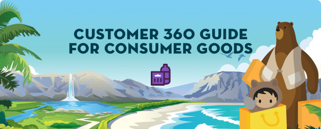 Customer 360 Guide to Consumer Goods