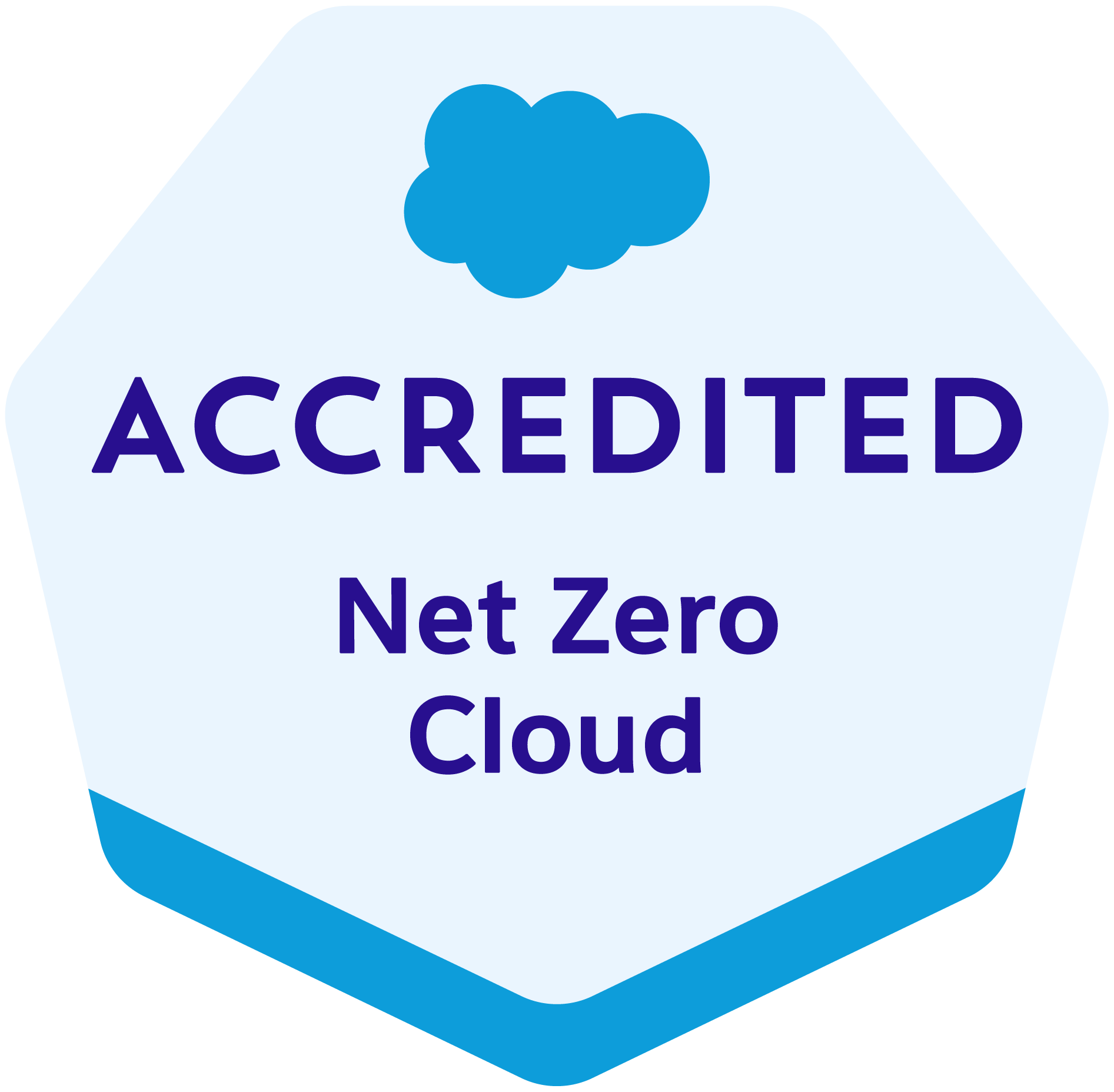 Logo for Salesforce Certified Professional