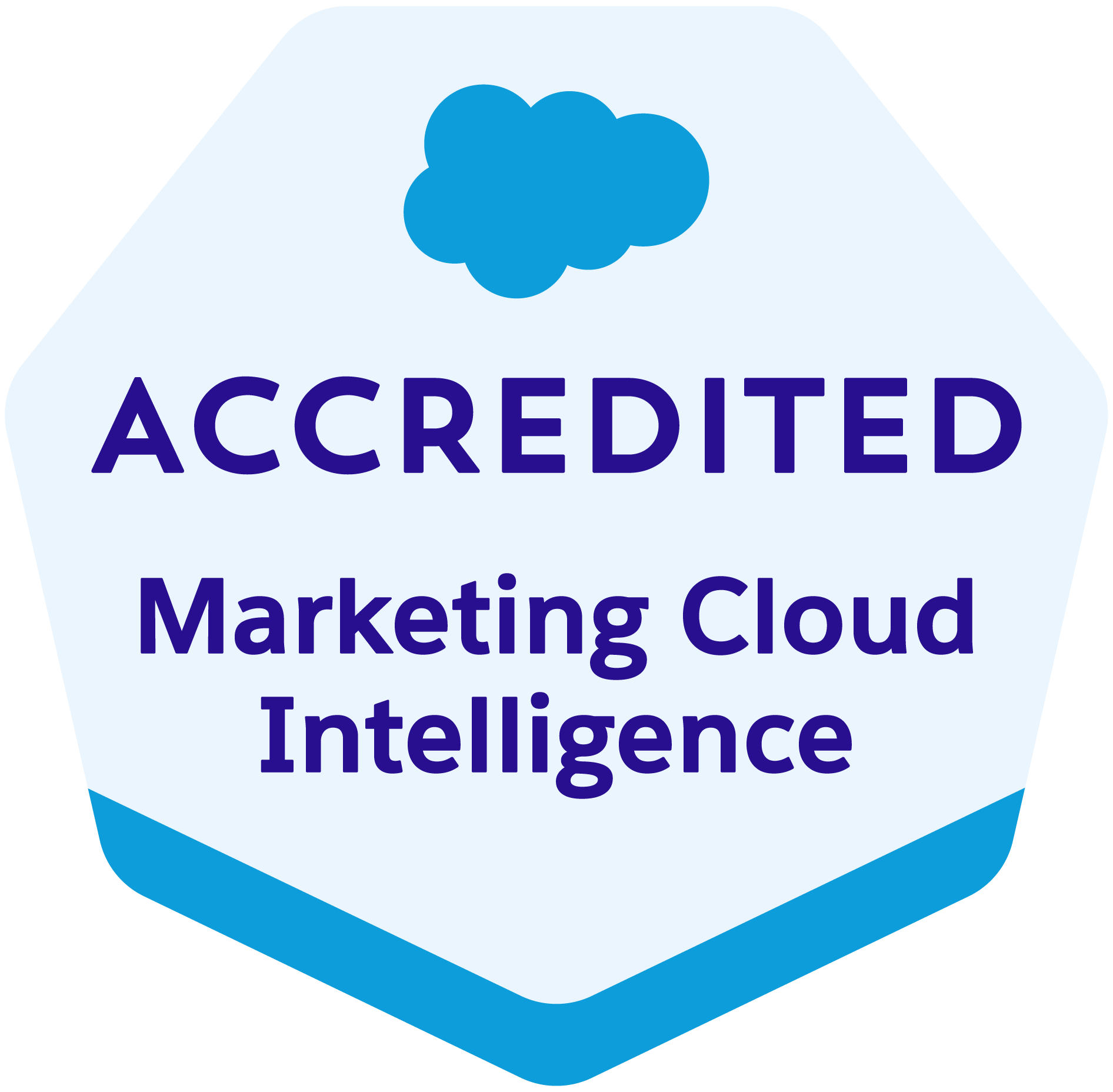 Logo for Salesforce Certified Professional