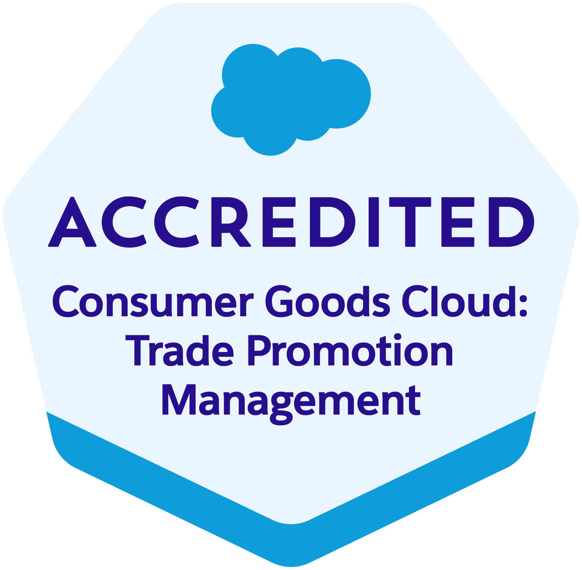 Logo for Salesforce Certified Professional