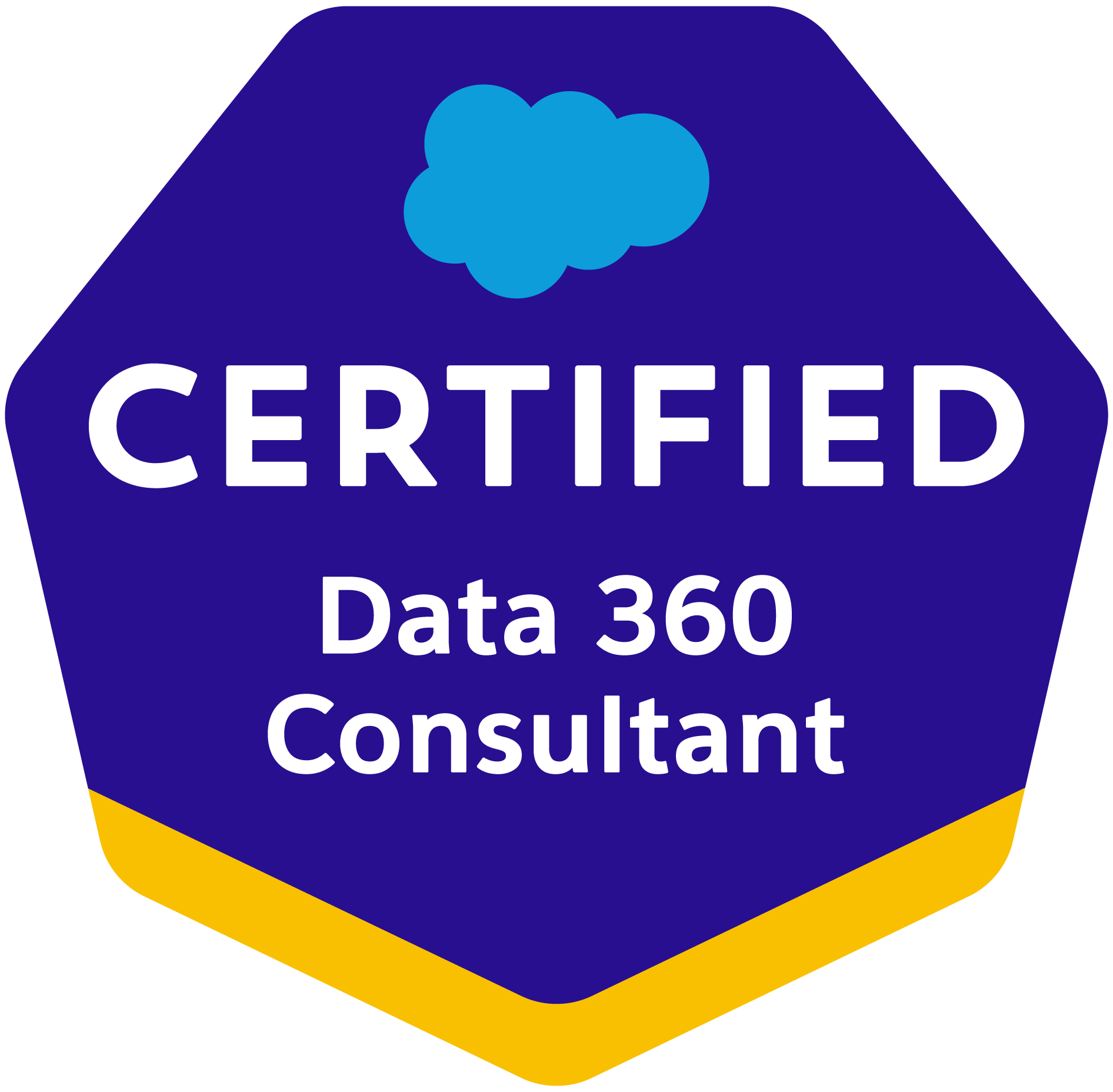 Logo for Salesforce Certified Professional