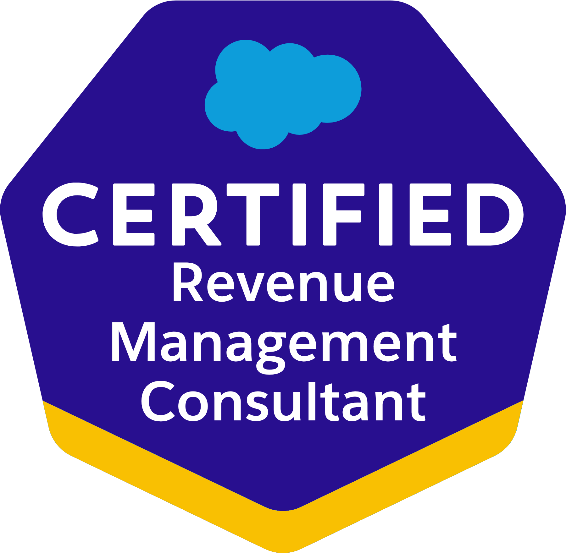 Logo for Salesforce Certified Professional