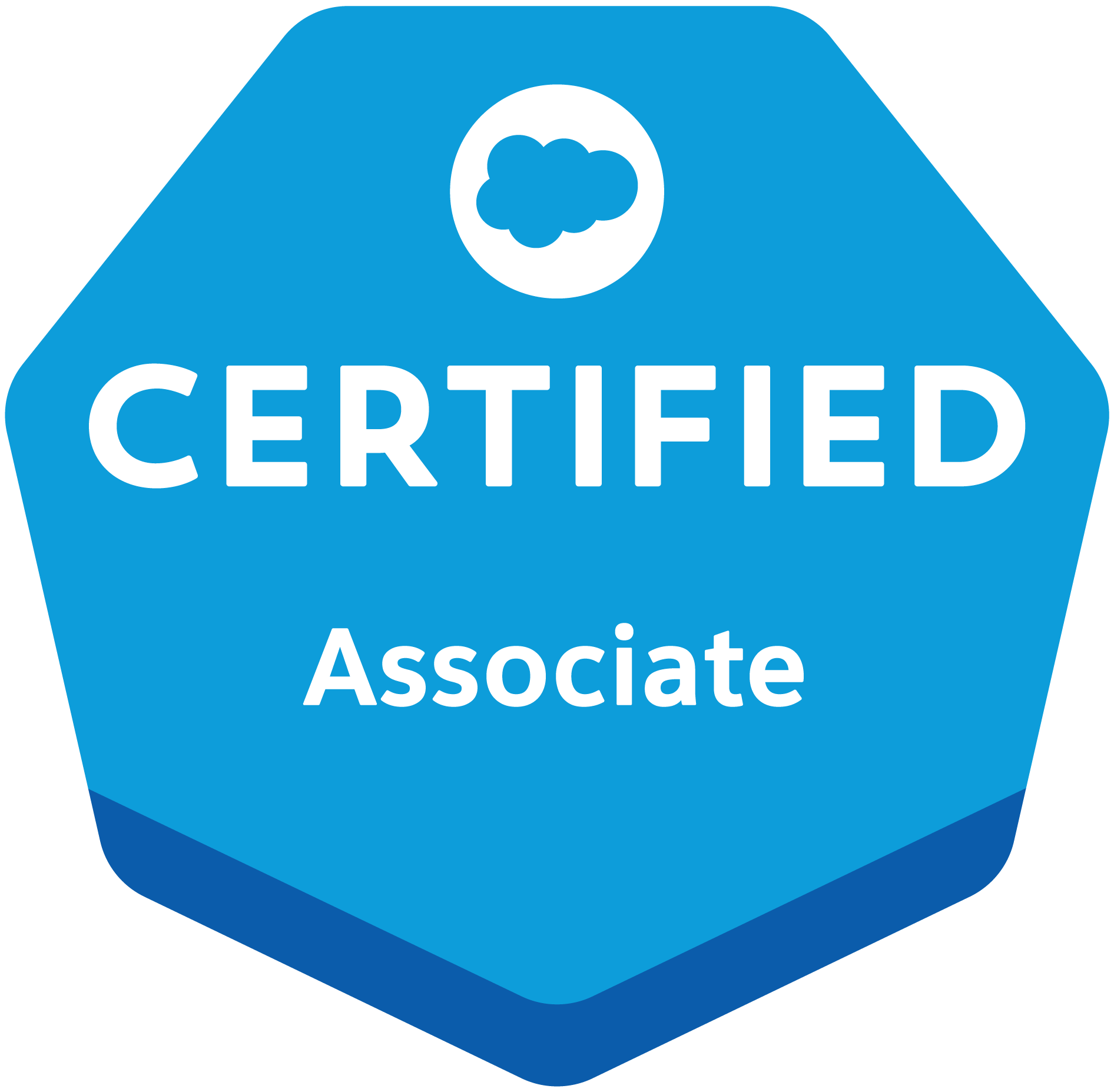 Logo for Salesforce Certified Professional