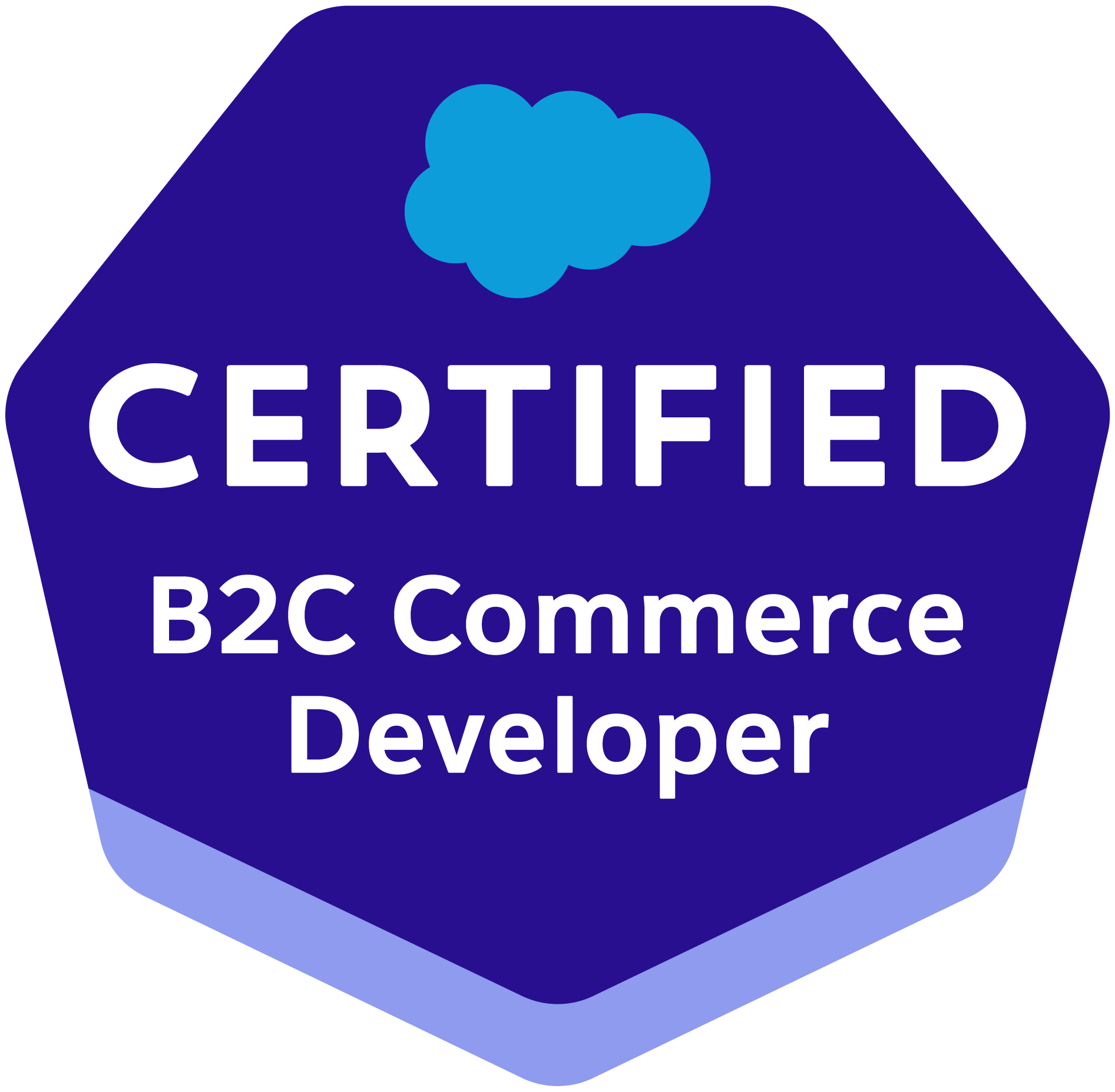 New B2C-Commerce-Developer Test Objectives