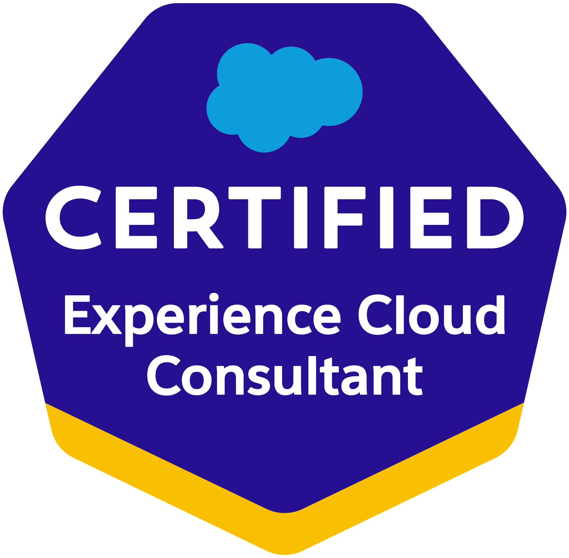 Logo for Salesforce Certified Professional