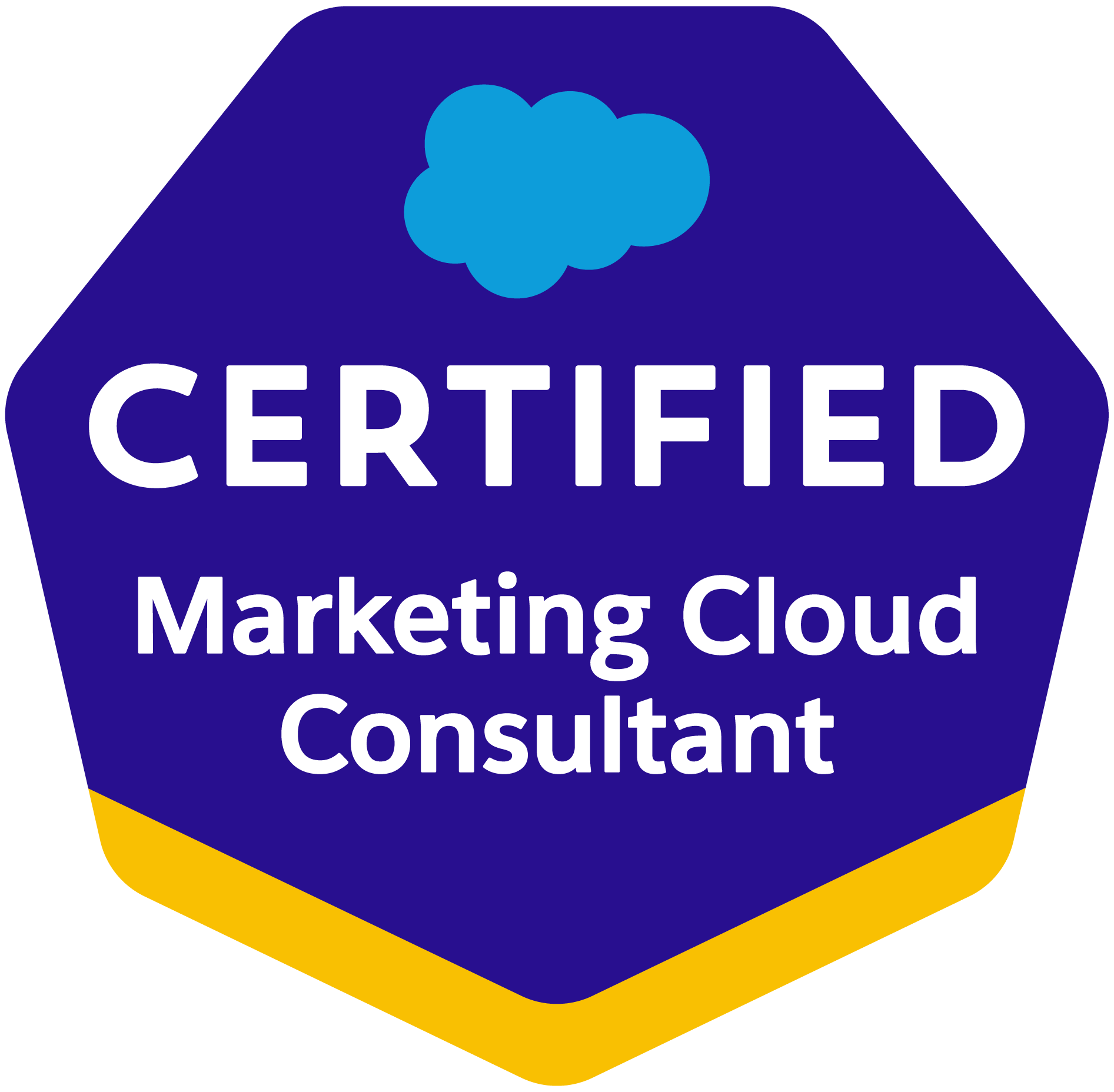 Logo for Salesforce Certified Professional