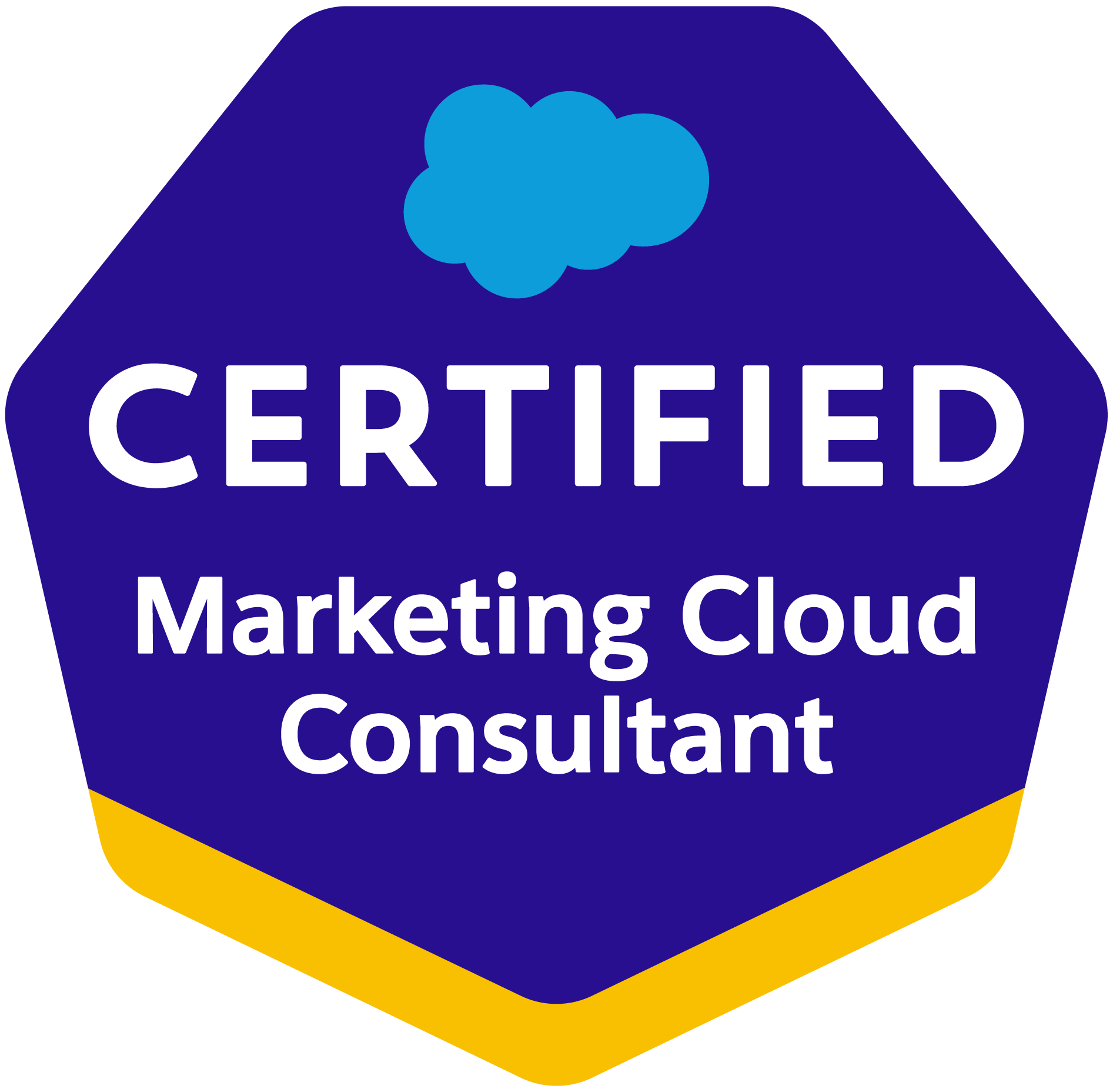 Marketing-Cloud-Developer Simulationsfragen