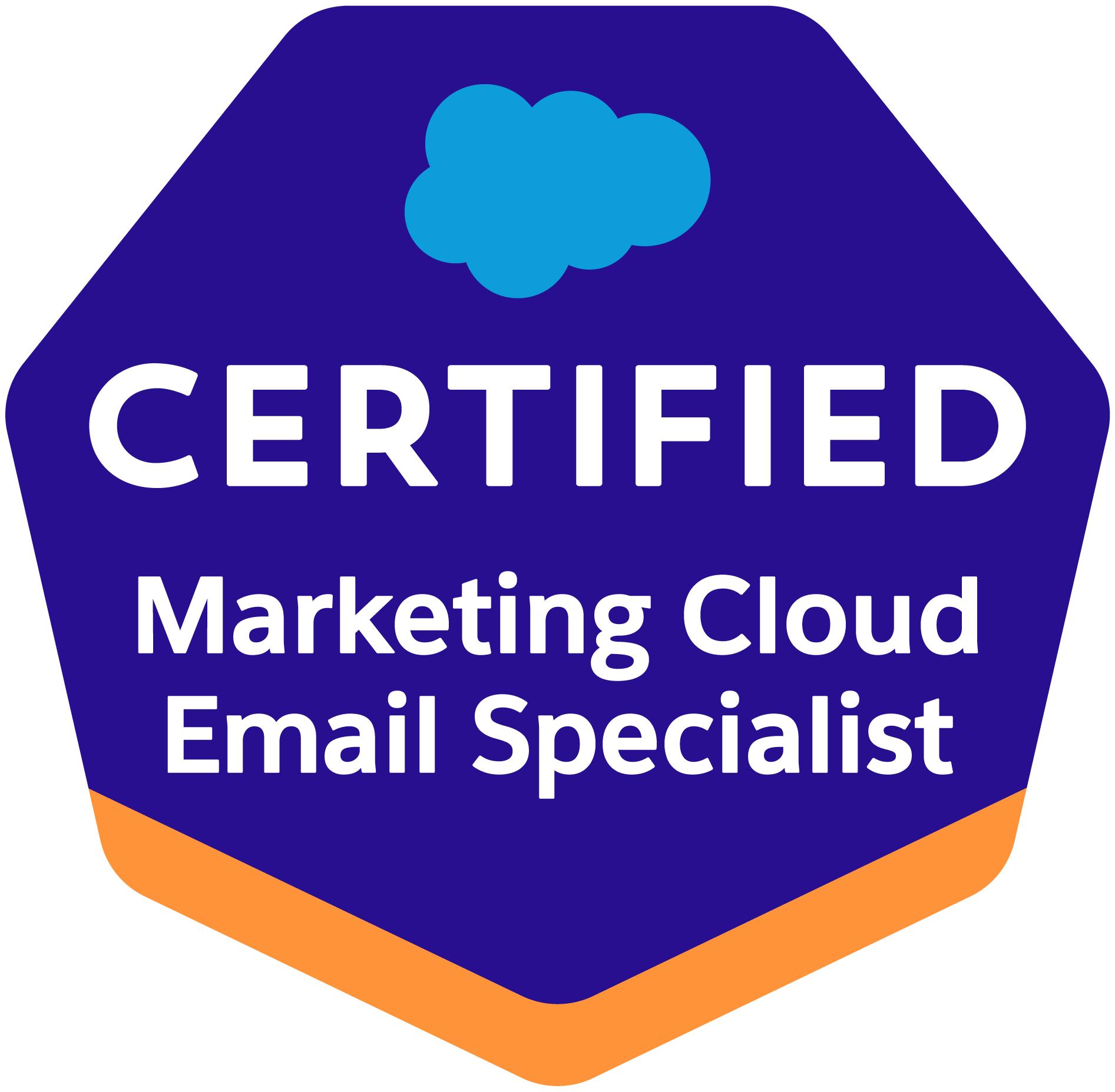 Marketing-Cloud-Email-Specialist Probesfragen