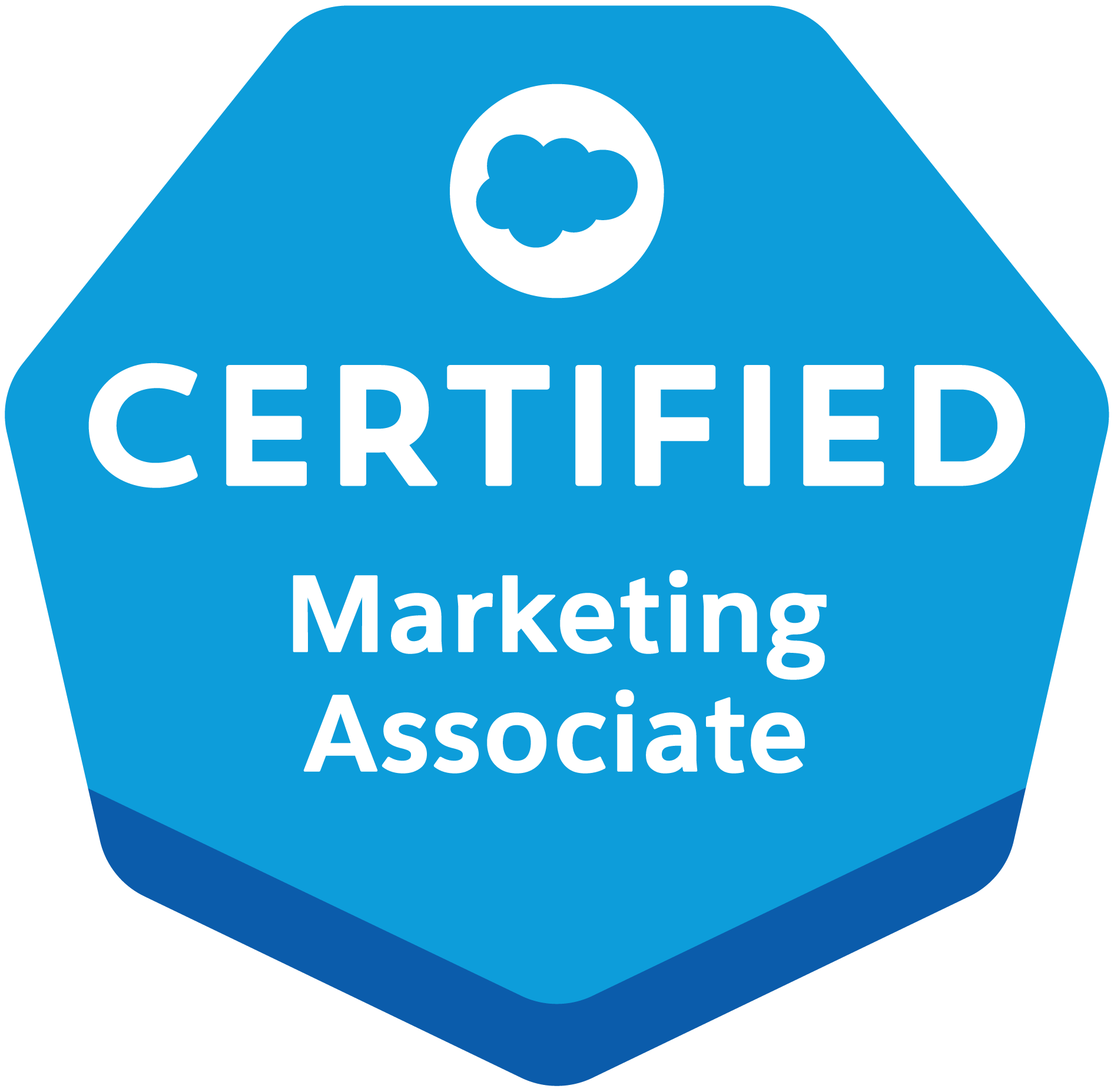 Logo for Salesforce Certified Professional