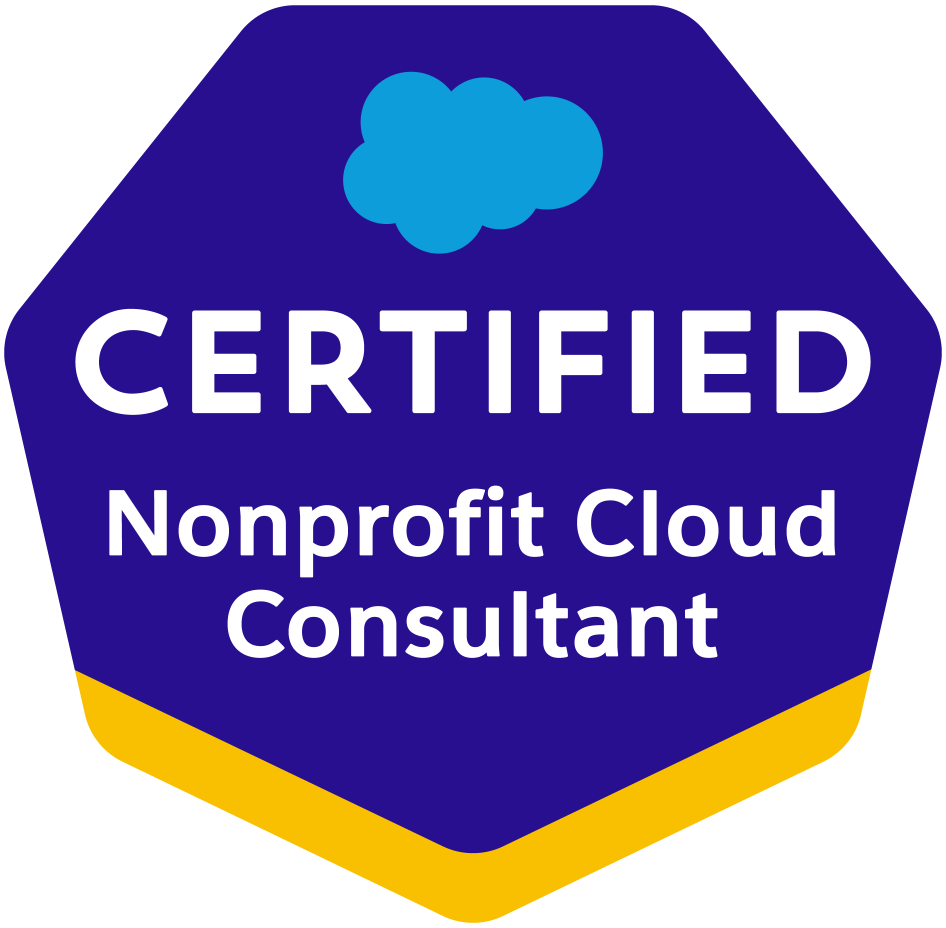 Logo for Salesforce Certified Professional