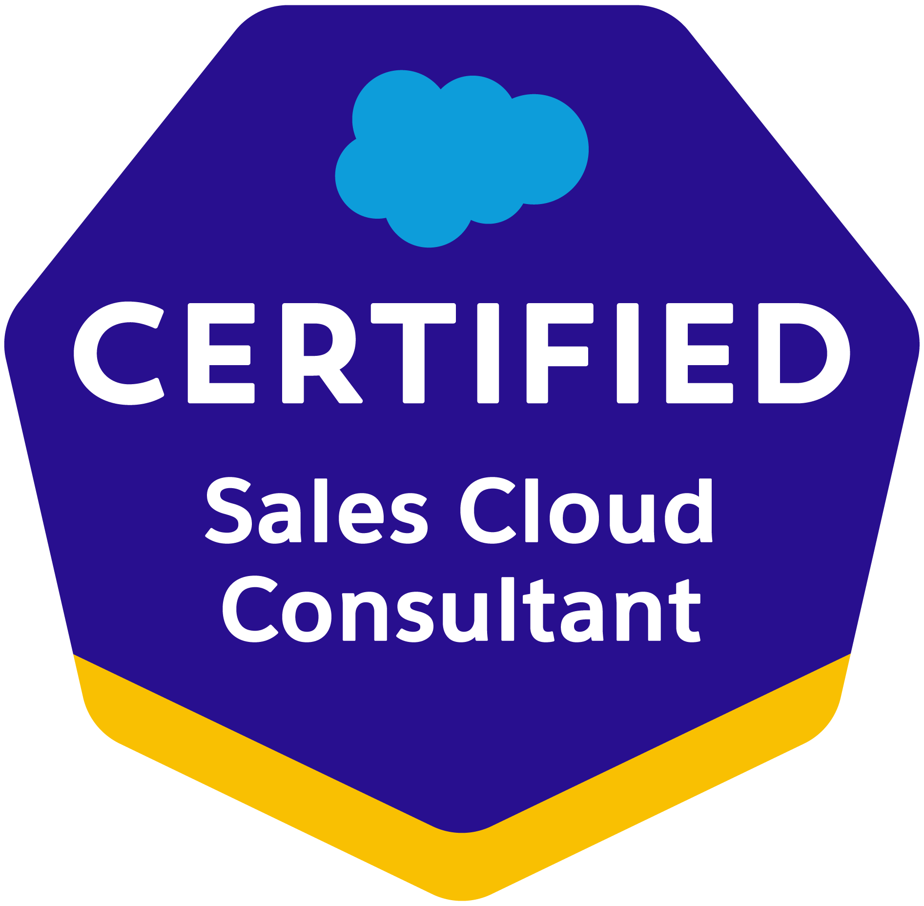 Salesforce Certified Sales Cloud Consultant