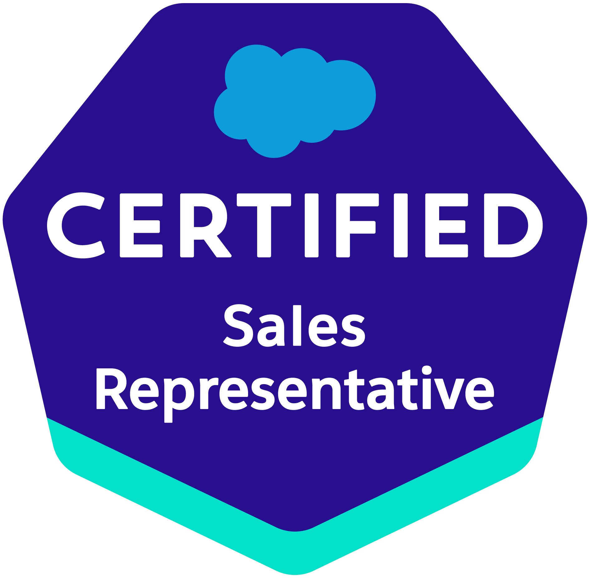 Logo for Salesforce Certified Professional