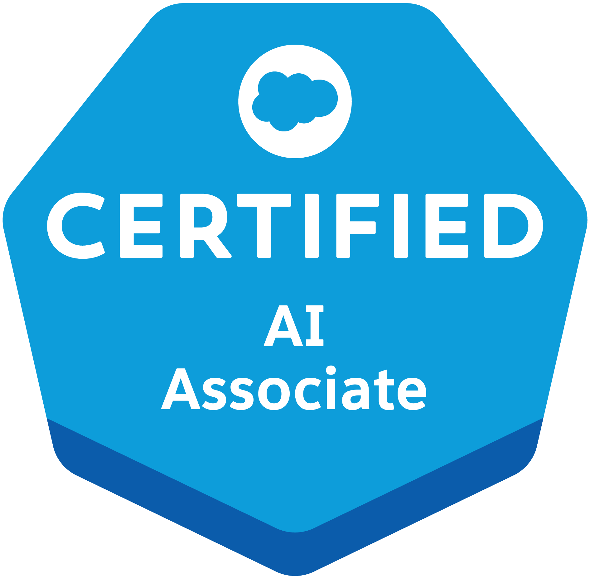 Logo for Salesforce Certified Professional