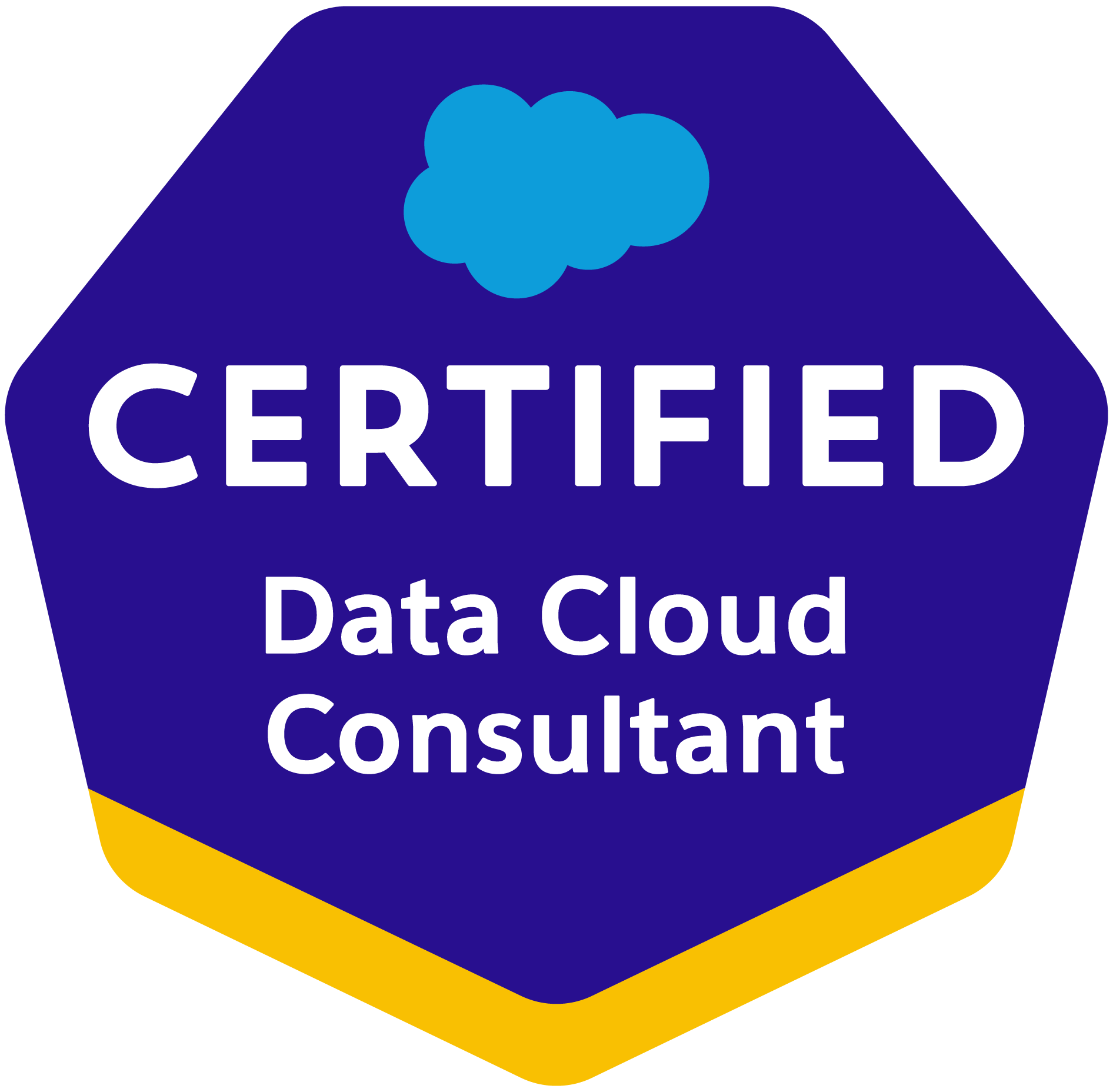 Logo for Salesforce Certified Professional