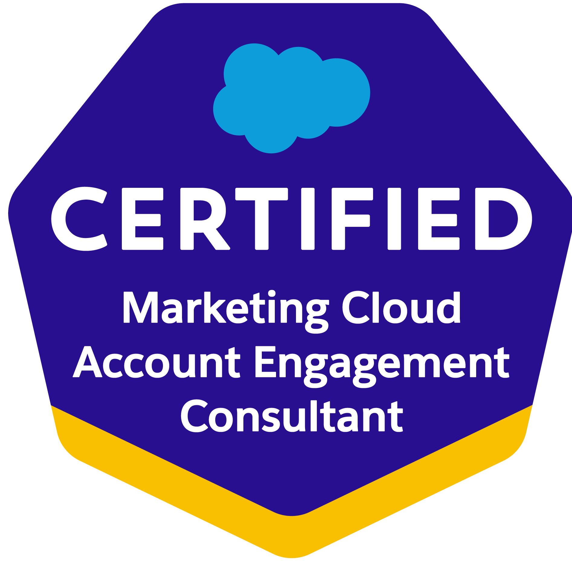 Logo for Salesforce Certified Professional