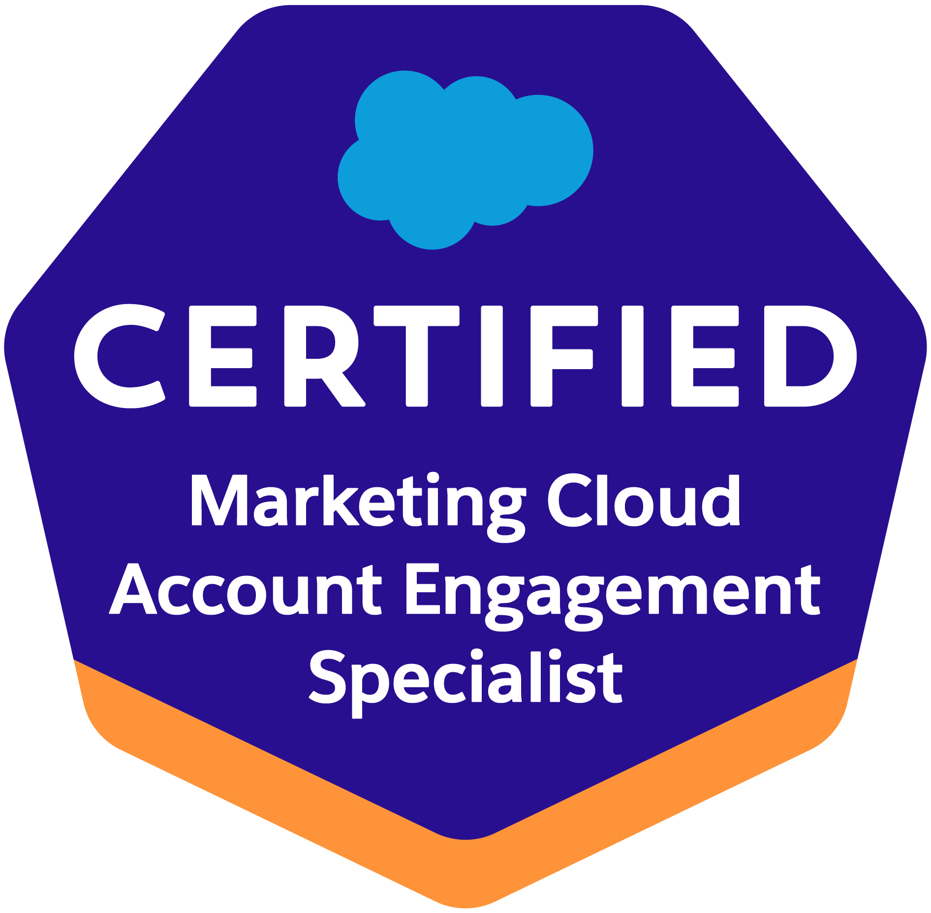 Logo for Salesforce Certified Professional