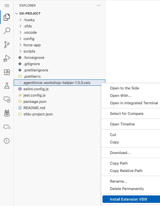 Shreenshot showing how to install the .vsix file