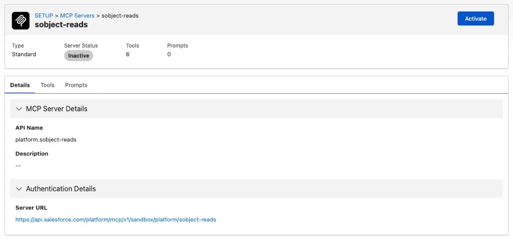 Screenshot showing the sobject-reads MCP server activation page
